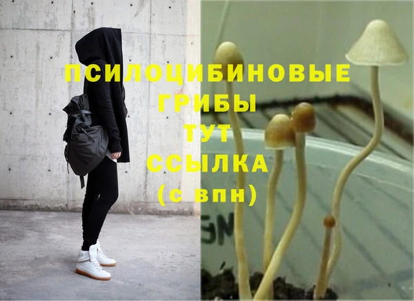 а пвп мука Осинники